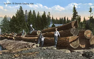 Images Dated 21st July 2017: Lumber workers in El Dorado County, California, USA