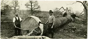 Images Dated 4th July 2018: LUMBERJACKS 1930S