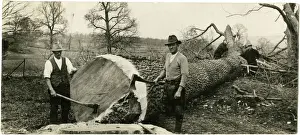 Timber Prints: LUMBERJACKS 1930S
