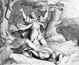 Alexius Gallery: Luthers Friend Struck