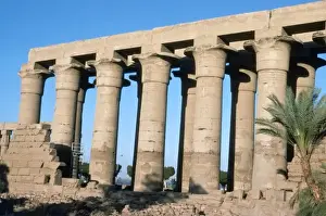 Lotus Prints: Luxor / Lotus Columns
