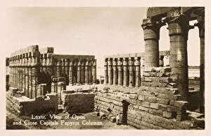 Amon Gallery: Luxor Temple Complex - Papyrus Columns of Amenhotep III