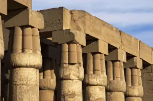 Luxor Temple. Hypostyle. Egypt