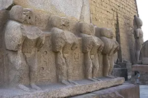 Mammalian Prints: Luxor temple. Mandrill carved into the base of the obelisk o