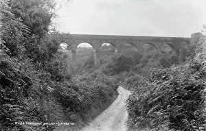 Ferns Prints: Luxulyan Valley Viaduct