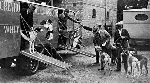 Images Dated 5th November 2015: Luxury transport for greyhounds - the new GRA conveyance