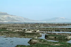 Lyme Regis