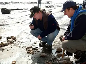 Lyme Regis field trip, 2003