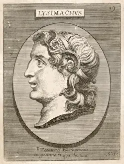 Lysimachus, General