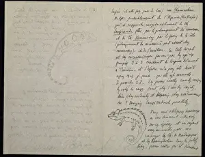 From M. G. Peracca to A. Gunther