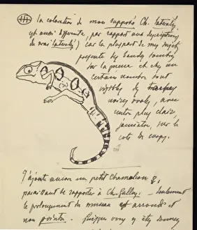 1858 1937 Prints: From M. G. Perecca to G. A. Boulenger