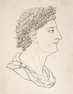 M Gabius Apicius