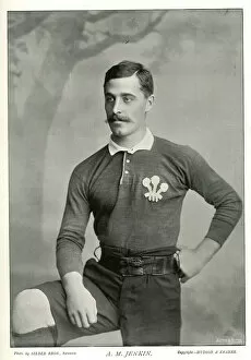 A M Jenkin, Wales International rugby player