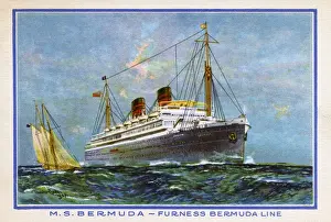 Furness Prints: M. S. Bermuda - Furness Bermuda Line