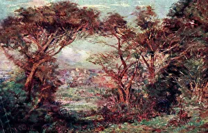 Macedon Prints: At Macedon