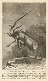Mysterious Gallery: Macedonian Empire