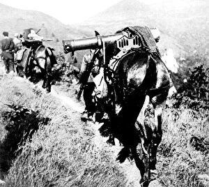 Mule Collection: Machine Gun on a Mule, near San Martial; Spanish Civil War