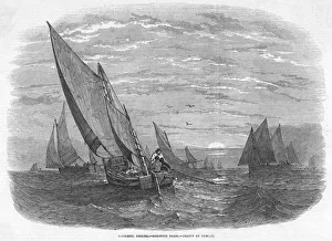 Images Dated 2008 May: 7 May 2008 Collection