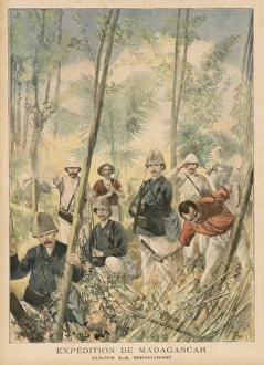 Abolished Gallery: Madagascar Exploration