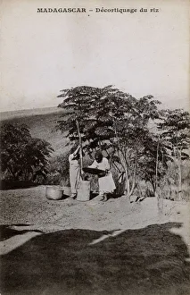 Removing Gallery: Madagascar - Shelling (De-husking) Rice