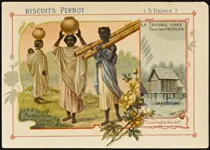 Pernot Prints: Madagascar Water