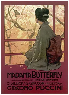 Images Dated 2nd October 2007: Madame Butterfly
