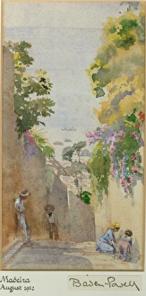 Images Dated 8th September 2011: Madeira