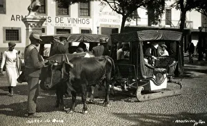 Carro Prints: Madeira, Funchal - Oxen carriage