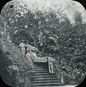 Madeira, The Hammock mode of Travelling