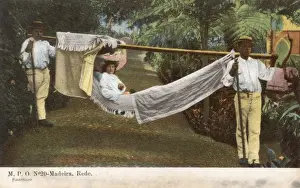 Madeira - Transporting Hammock