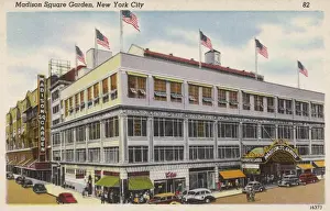 Madison Prints: Madison Square Garden, New York City