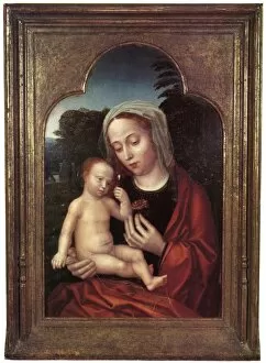Adriaen Gallery: Madonna and Child by Adriaen Isenbrant