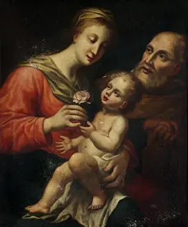 Madonna Prints: Madonna of the Rose after Raphael