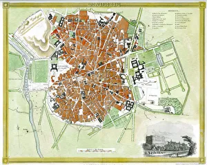 Dower Prints: Madrid
