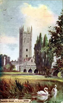 Magdalen Prints: Magdalen College, Oxford, Oxfordshire