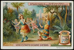 1791 Collection: Magic Flute Liebig 6
