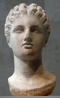 Gulf Prints: Magna Graecia. Bust of a goddess. Fourth century BC. Metropo
