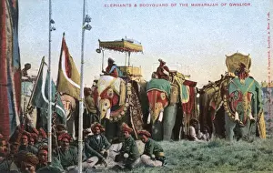 Elephants Prints: Maharaja of Gwaliors state elephants and bodyguard, India