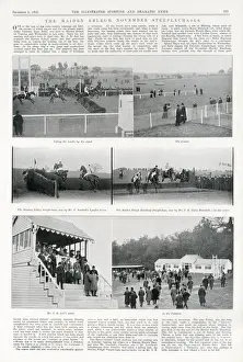 Maiden Prints: Maiden Erlegh Race Course
