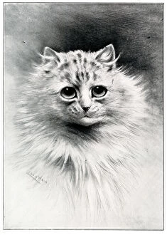 In Maiden Meditation, cat portrait by Louis Wain