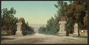 Drive Way Prints: Main entrance and driveway, Leland Standford Junior Universi