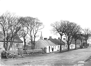 Visible Prints: Main St. Killough, Co. Down