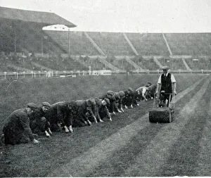 Maintenance of pitch before FA Cup Final, Wembley Stadium