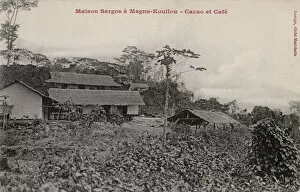 Congo Gallery: Maison Sargos at a cacao and coffee plantation, Congo
