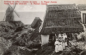 Acores Collection: Maize farm and windmill, Sao Miguel Island, Azores