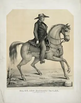 Zachary Prints: Major, Genl. Zachary Taylor