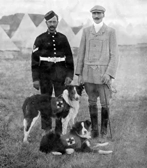 Edwin Collection: Major Richardson and his ambulance dogs