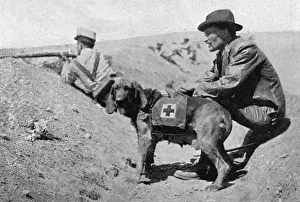 Lieut Prints: Major Richardson & ambulance dogs during Melillan campaign