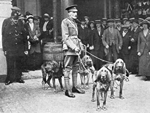 Ambulance Gallery: Major Richardson leaves for Belgium with bloodhounds, WW1