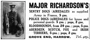 Airedale Gallery: Major Richardsons sentry dogs advertisement